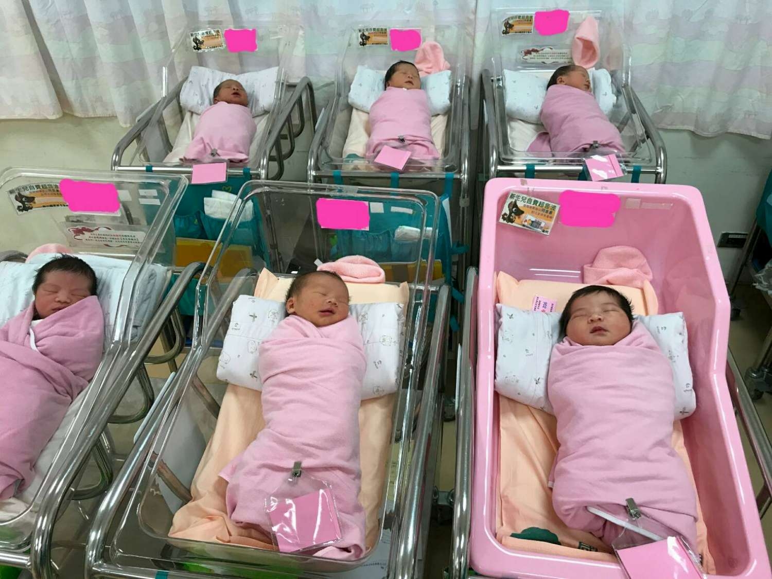 國慶寶寶8名報到！林智堅市長祝福平安健康 幸福成長