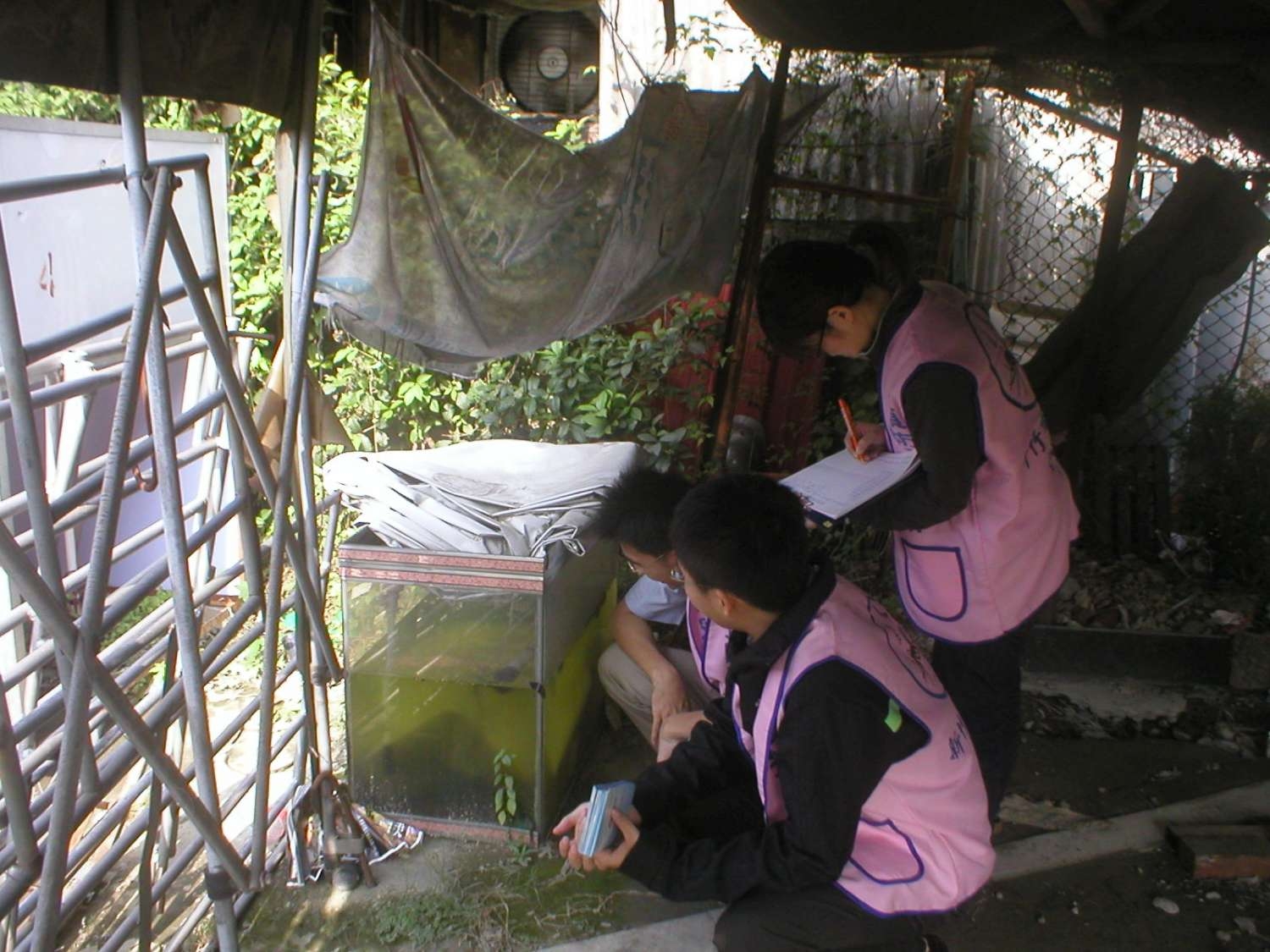 圖1社區積水容器病媒蚊調查        |