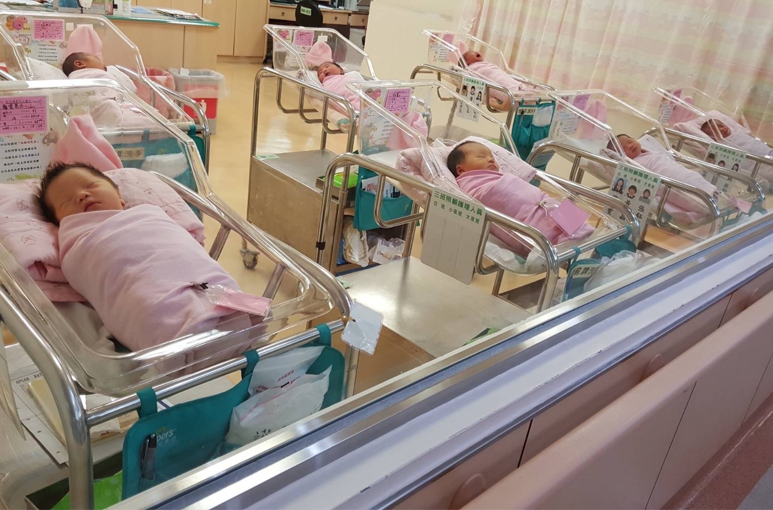 15位國慶寶寶來報到　林智堅市長祝福健康、幸福成長|  