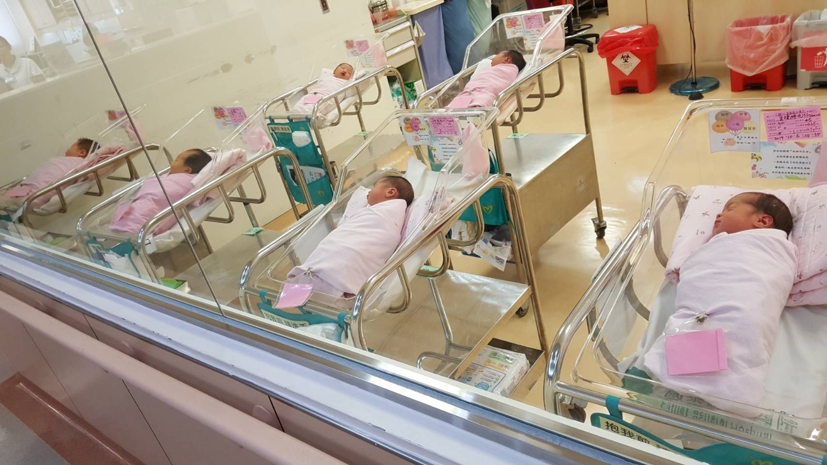 15位國慶寶寶來報到　林智堅市長祝福健康、幸福成長